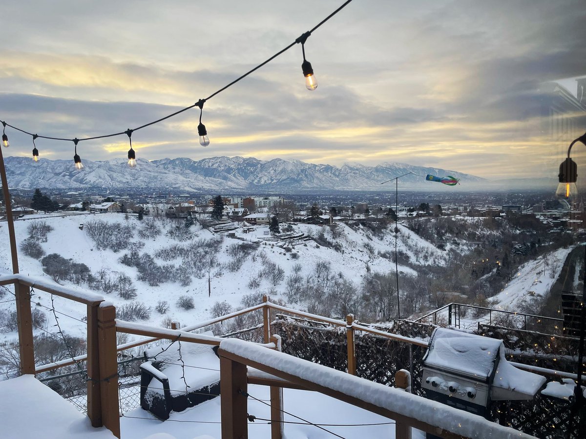 acdeck_'s tweet image. good morning fellow humans