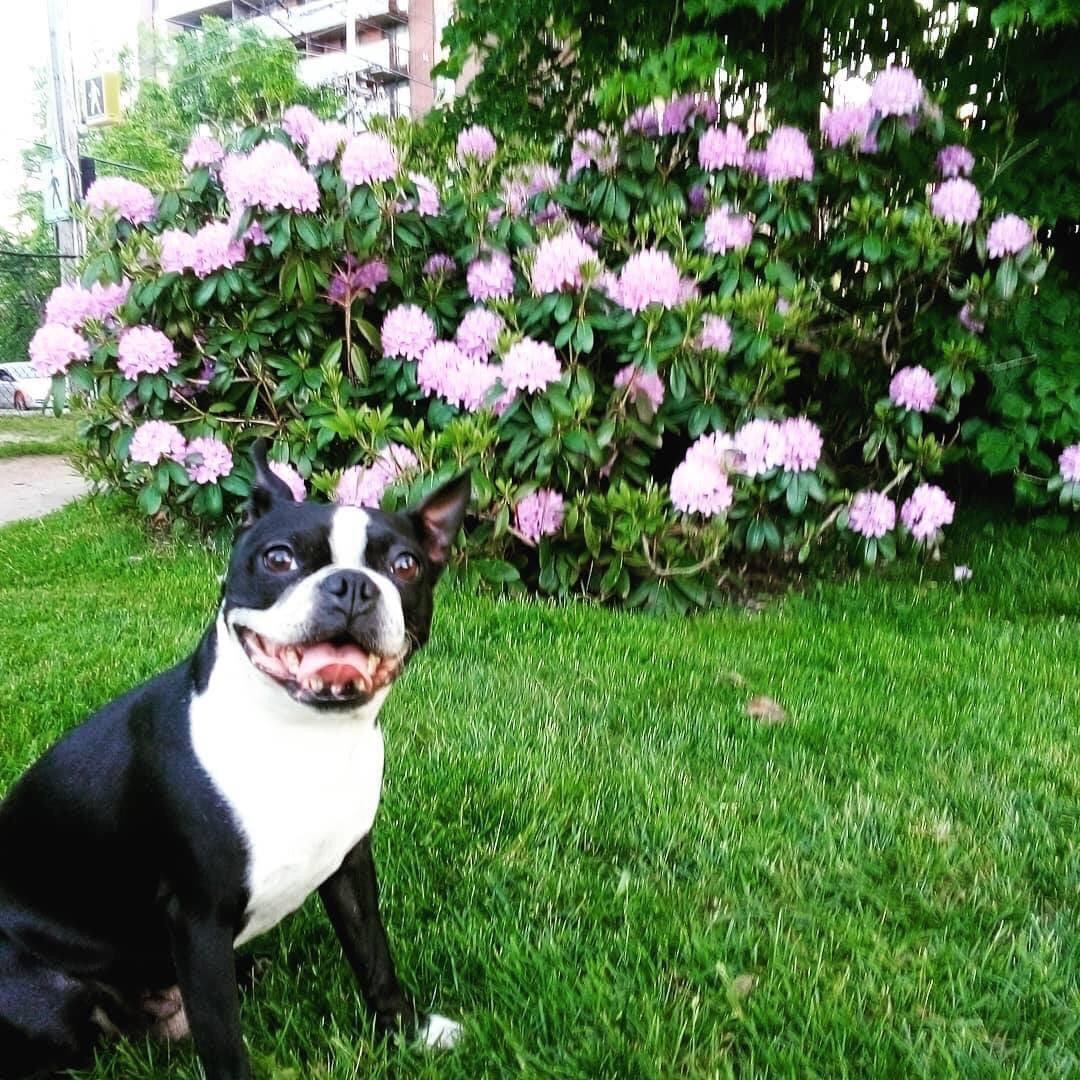 JoshNRemix's tweet photo. I’ll never forget you Rosa.. Viva Forever 💔 https://t.co/tw3LDdJmY7