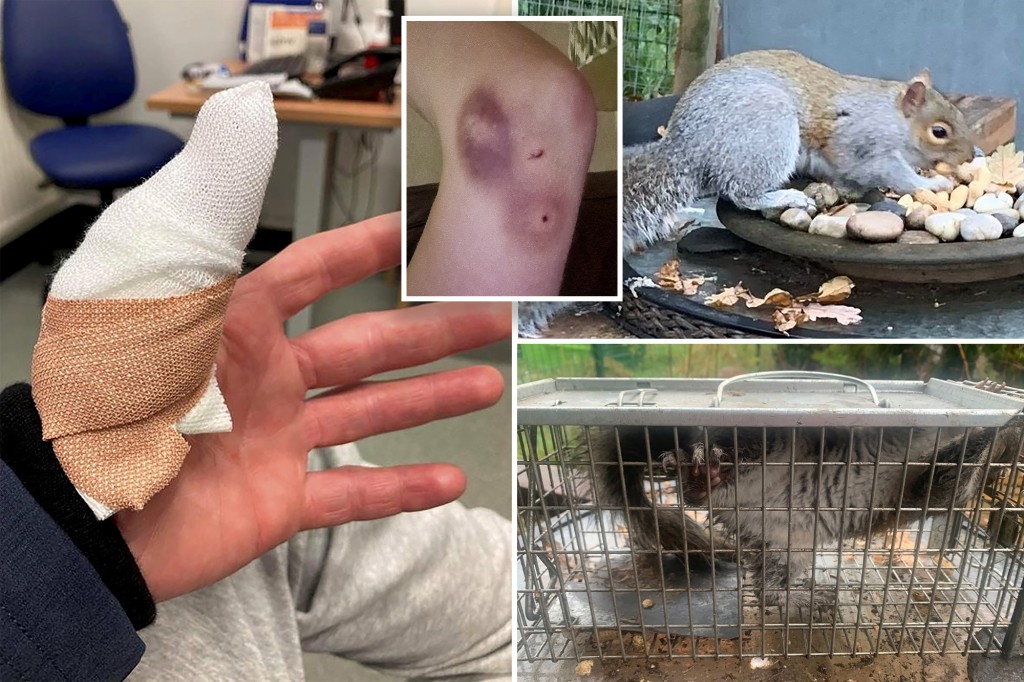 View image on Twitter