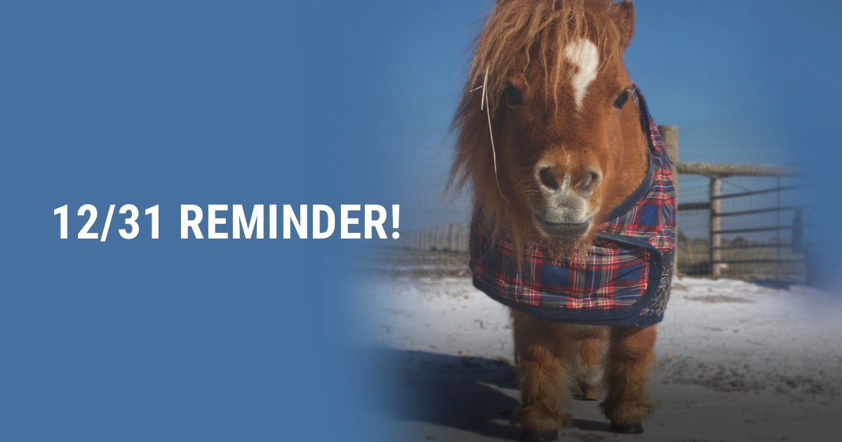 Three days to go! We’re not ready to close the books on 2021… not until we reach our goal! Join our $50K Holiday Match and your year-end gift will automatically double. bit.ly/HFHYE21TW5 #RescueHorses #SaveHorses