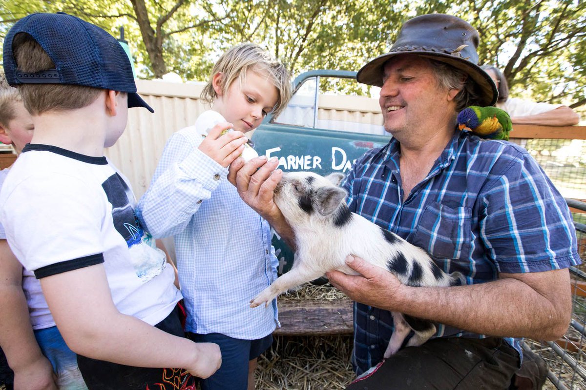 Plans for Farm World 2022 are underway and we can’t wait! #Savethedates – Thursday 24th to Sunday 27th March. Exhibitor enquiries welcome #FarmWorld2022 #LardnerPark