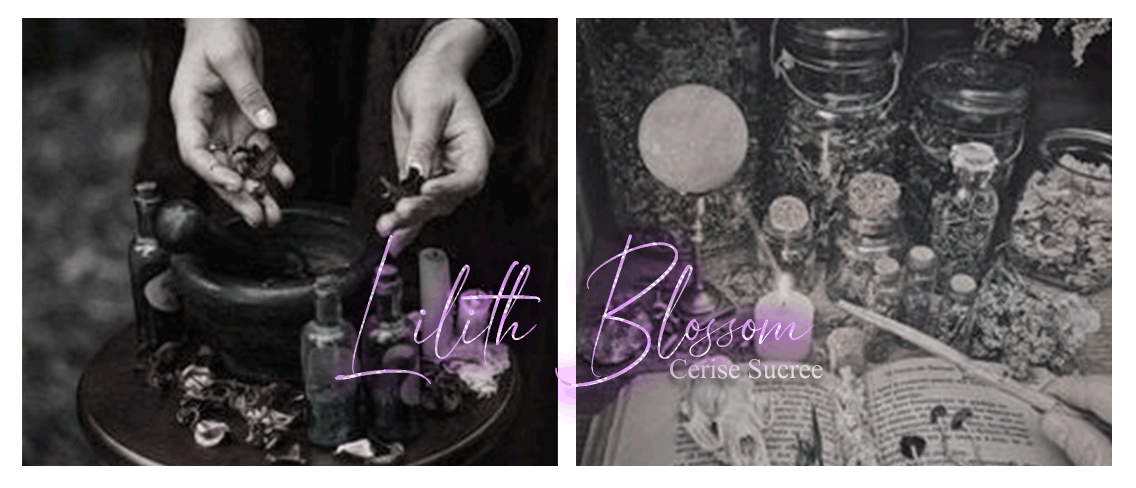 ㅤㅤㅤㅤㅤㅤㅤㅤㅤㅤㅤㅤㅤㅤㅤㅤㅤㅤㅤㅤㅤㅤㅤㅤㅤㅤ
꧁•⊹٭ㅤㅤㅤ𝐑𝐢𝐭𝐮𝐚𝐥 𝐝𝐞 𝐏𝐫𝐞𝐩𝐚𝐫𝐚çã𝐨 𝐩𝐚𝐫𝐚 𝐚 
ㅤㅤㅤㅤㅤㅤㅤ𝐜𝐡𝐞𝐠𝐚𝐝𝐚 𝐝𝐞 𝐦𝐚𝐢𝐬 𝐮𝐦 𝐚𝐧𝐨.