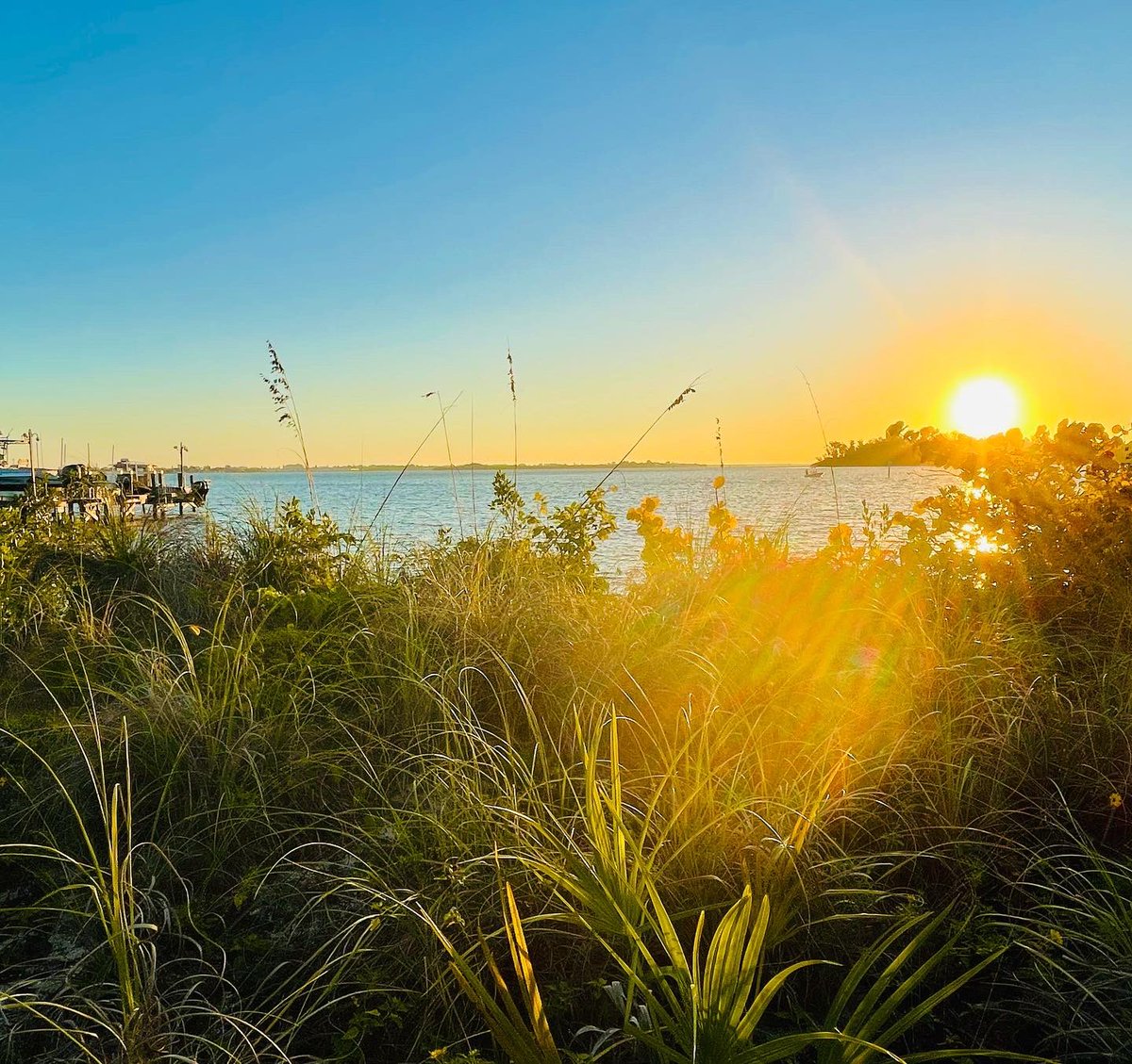 Jason_T_McC's tweet photo. What a beautiful sunrise this morning over @amichamber !! @ManateeGov @RealSaltLife #OnlyInManatee #FloLiving βοΈ π π΄ https://t.co/vQC6BBF1t8