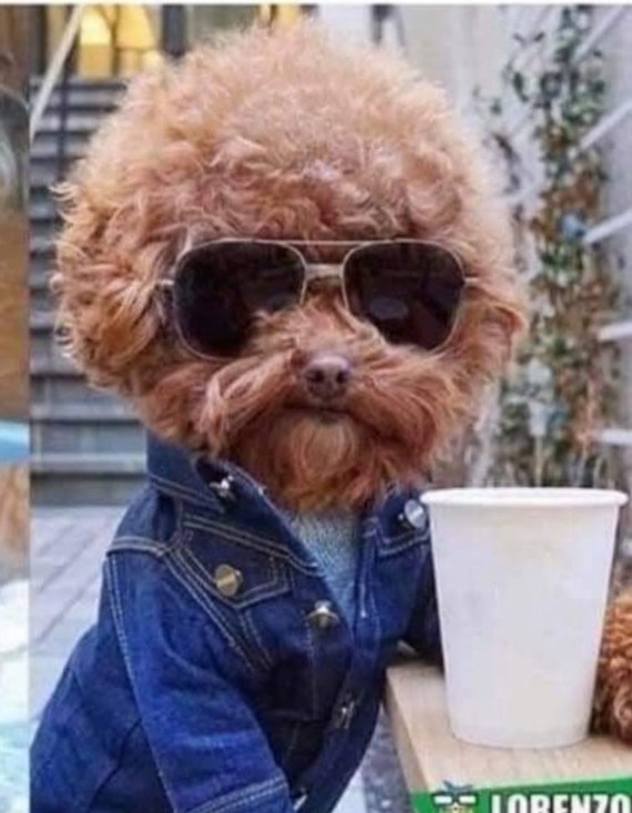 Wishing Jeff Lynne a very happy birthday. 