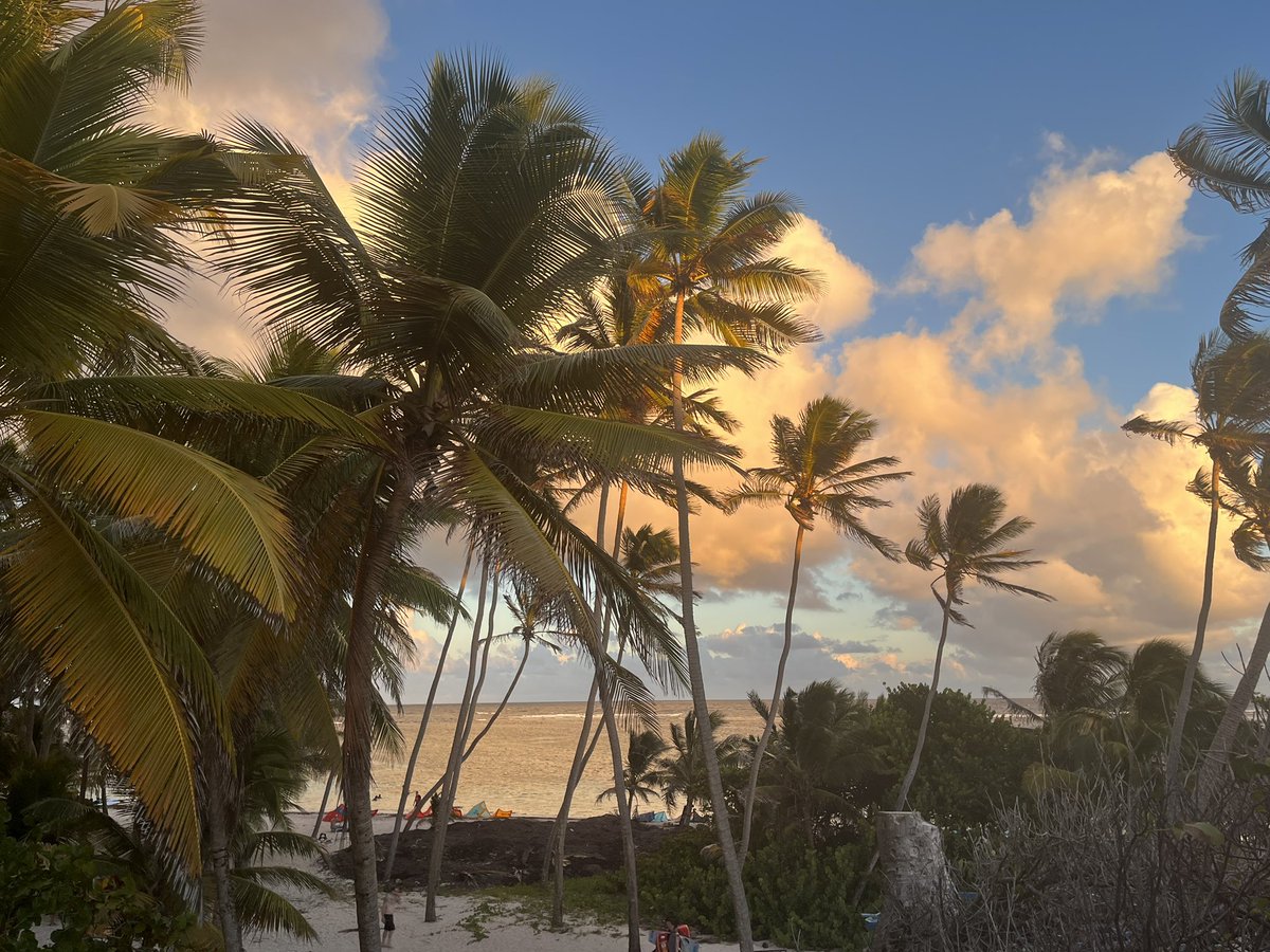 Finir l’année en beauté ✅ #martinique