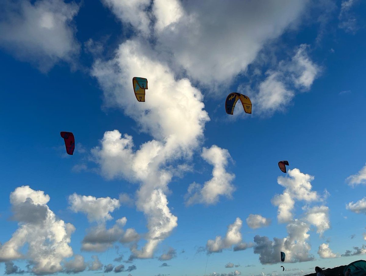 Nora Caster tweet media