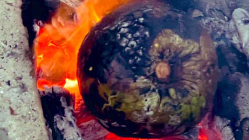 TanyaTaylorT2's tweet image. Yeah some of my country’s laws are tedious. But you still have to follow them while you’re here you badly roasted breadfruit 🤬
#thingsiwishisaidinthemoment #T2randomness #FixerLife