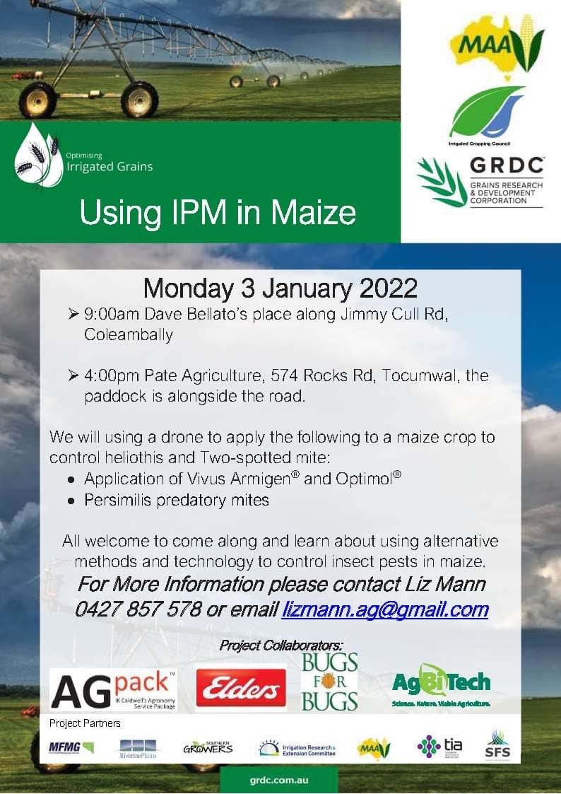 MaizeAustralia's tweet photo. Change of date from 31Dec to 3 Jan https://t.co/CF3Zxa4xGu