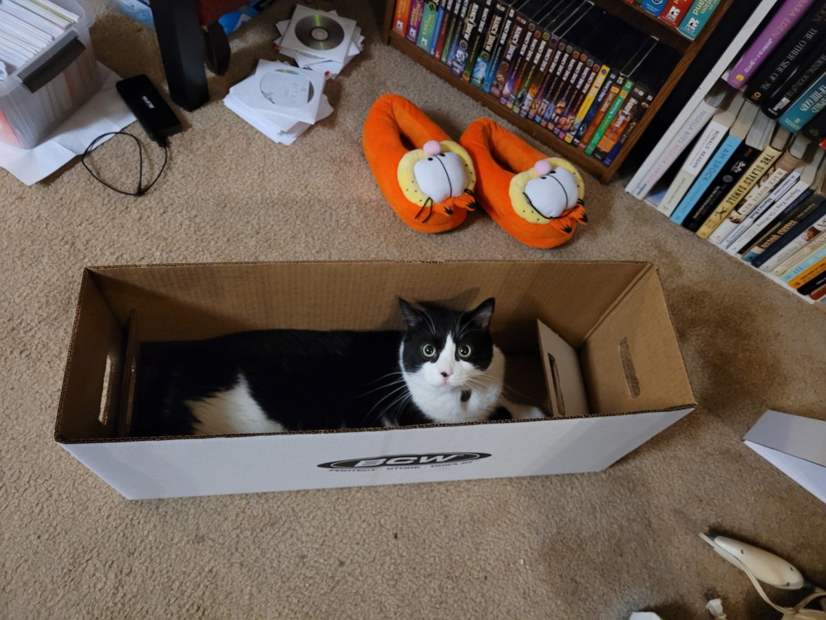Bought a long box for my comics but now it’s my kitty box instead.