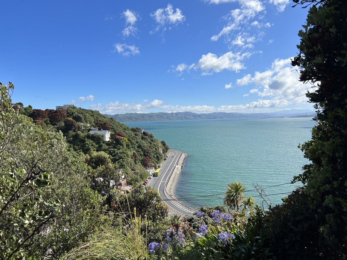 Craig Hawke tweet media