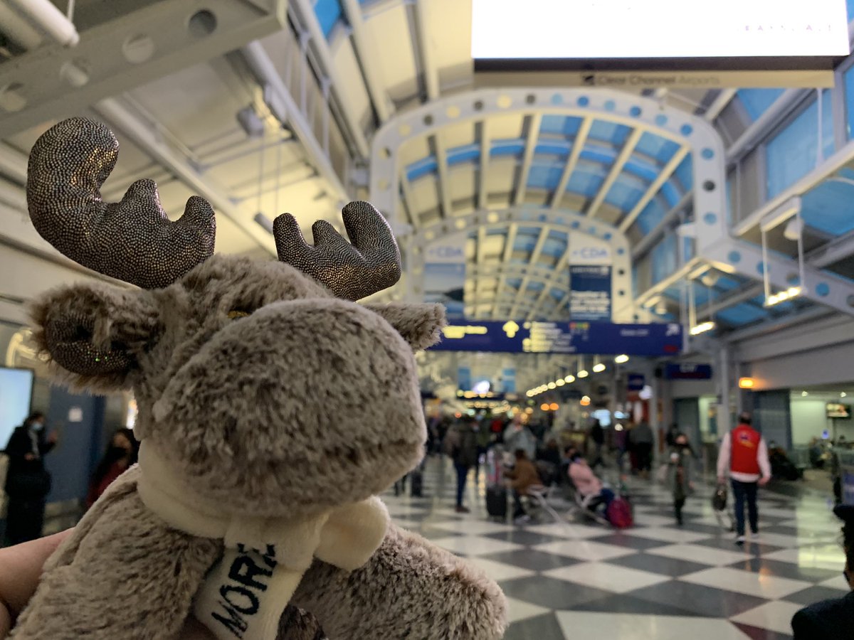 MyMooseTravels's tweet photo. @fly2ohare is abs amazing airport! Off to @EWRairport with @united last domestic leg of the trip! #moosetravels #UnitedStates #HappyNewYear https://t.co/jtpmMxSTVQ