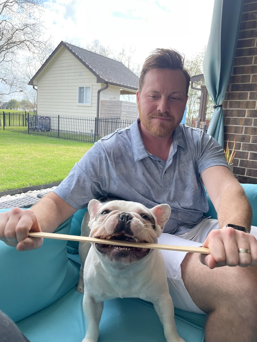 😮How dare Daddy attempt to take my stick! This is obviously mine! Just for that, I’ll be stealing his socks later 🧦 

#doglovers #frenchies #funnyfrenchie #funnydogs #doghhumor #dogoftheday #frenchbullynation