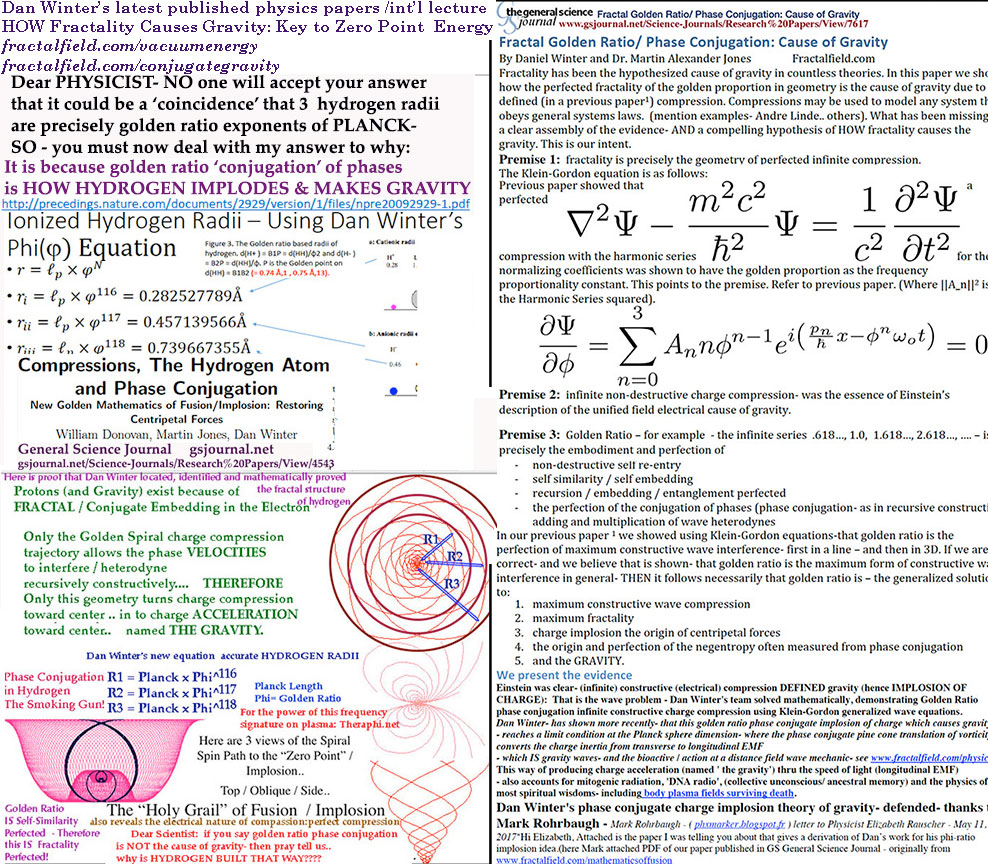 Rielizing's tweet image. fractalfield.com/conjugategravi…   #Danwinter #fractalfield   

How fractality causes gravity   #physics #blissconsciousness #gravityexplained