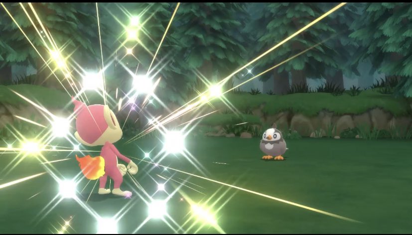 Raph_Ha's tweet photo. 0 Etourmi shiny et 5761 Resets plus tard, l’aventure peut enfin commencer. ~15/898 ✨ #PokemonDiamantEtincelant #pokemon #ouisticramshiny #NintendoSwitch https://t.co/GkVxr7TlAW