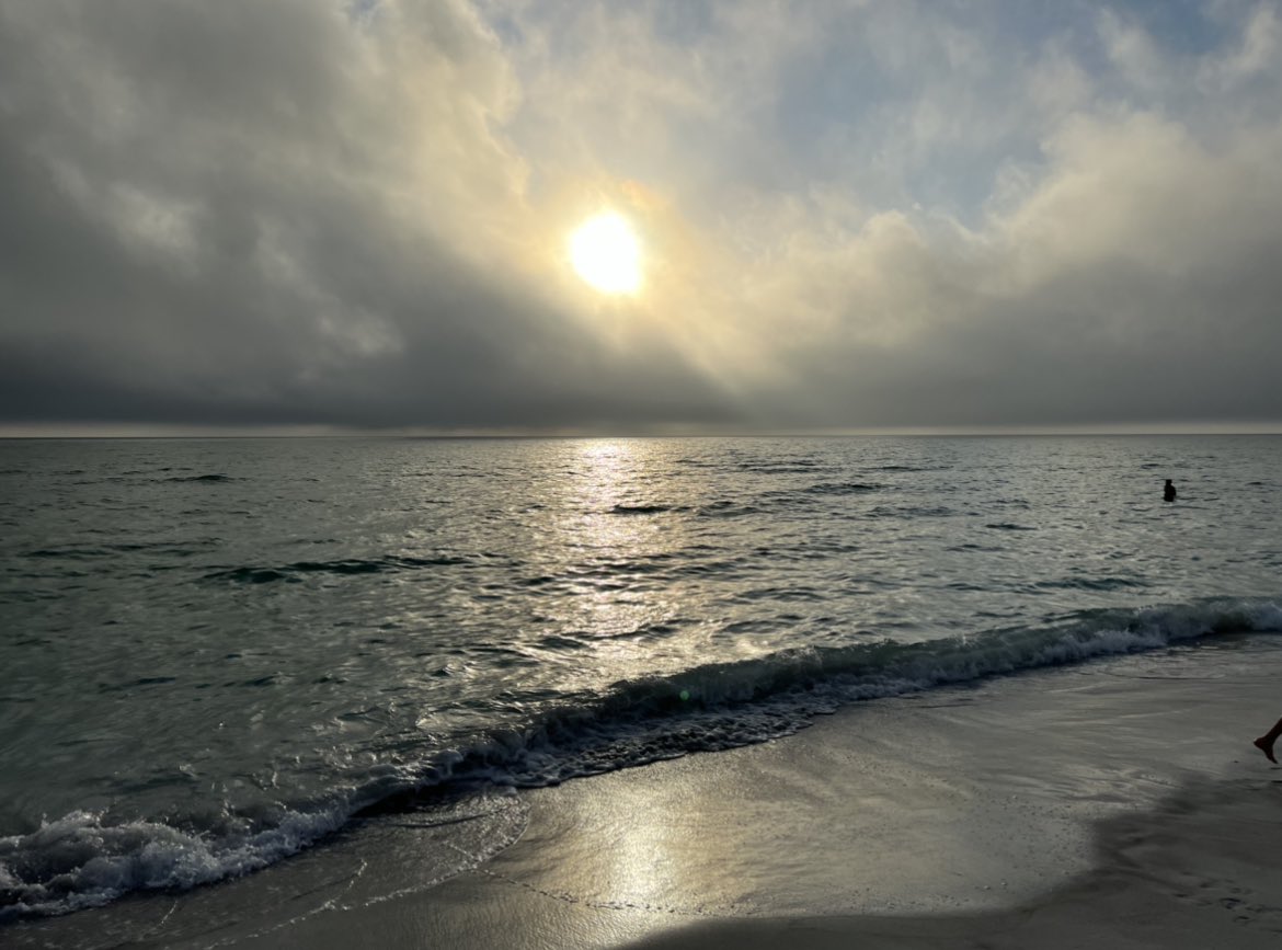 LorraineZiff's tweet photo. Peace ππ #lorraineziff #dearlorraine #smile #chill #peaceful @larryziff #peacefulplace #beach #beachlife @longboatkeyclub #happy #happiness #nature #naturephotography #life #love #positivevibes #ebandflow https://t.co/l3OJkCzWaz