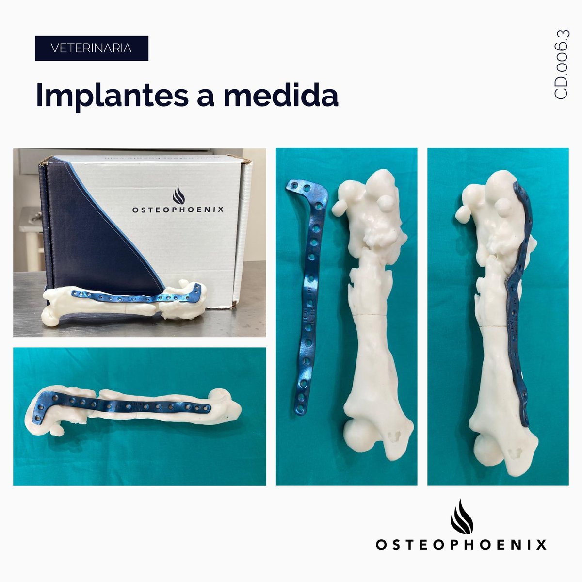 OsteophoenixSL's tweet photo. La personalización de los dispositivos médicos en veterinaria permite que nuestros pequeños acompañantes se recuperen más rápido, que los resultados quirúrgicos sean más exitosos y, lo más importante, mejora su calidad de vida. https://t.co/9kD6vt2N7y https://t.co/7ANLk3NktJ