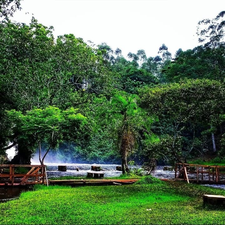 fleedsafaris's tweet photo. Sezibwa falls is really a bucket list item in Uganda 🇺🇬 we are adding some kilungo 😊 Usher in the new year the #fleedexperience way🌍
Get that ka 100k and less enter 2022 the way research approves🍻🔥🌍🇺🇬💕 https://t.co/AoZ5Cm5xBu