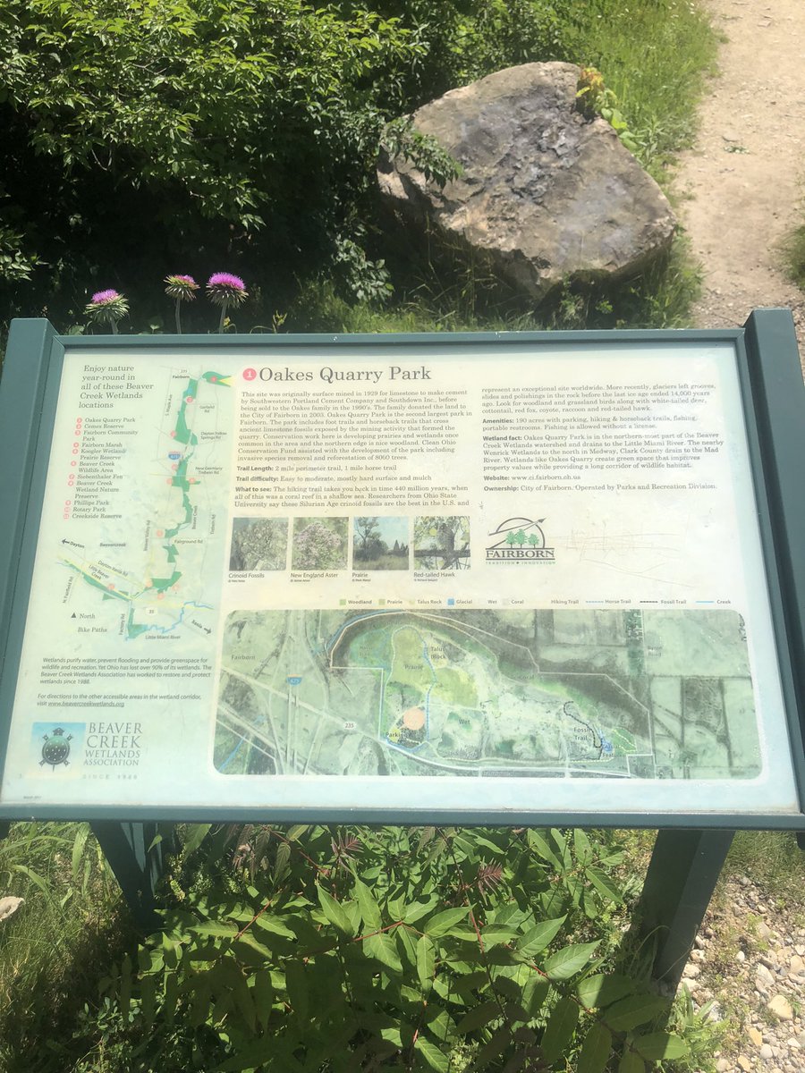 connorroadtrips's tweet photo. Oakes Quarry Park in Fairborn, Ohio. This hiking place has an easy rock climb, and the view looks like a bit of the Southwest in the United States. #usa #ohio #fairbornohio #greenecountyohio #bathtownshipgreenecountyohio #oakesquarrypark #roadtripswithconnor #onlyinohio https://t.co/r5Yd29Ngu7