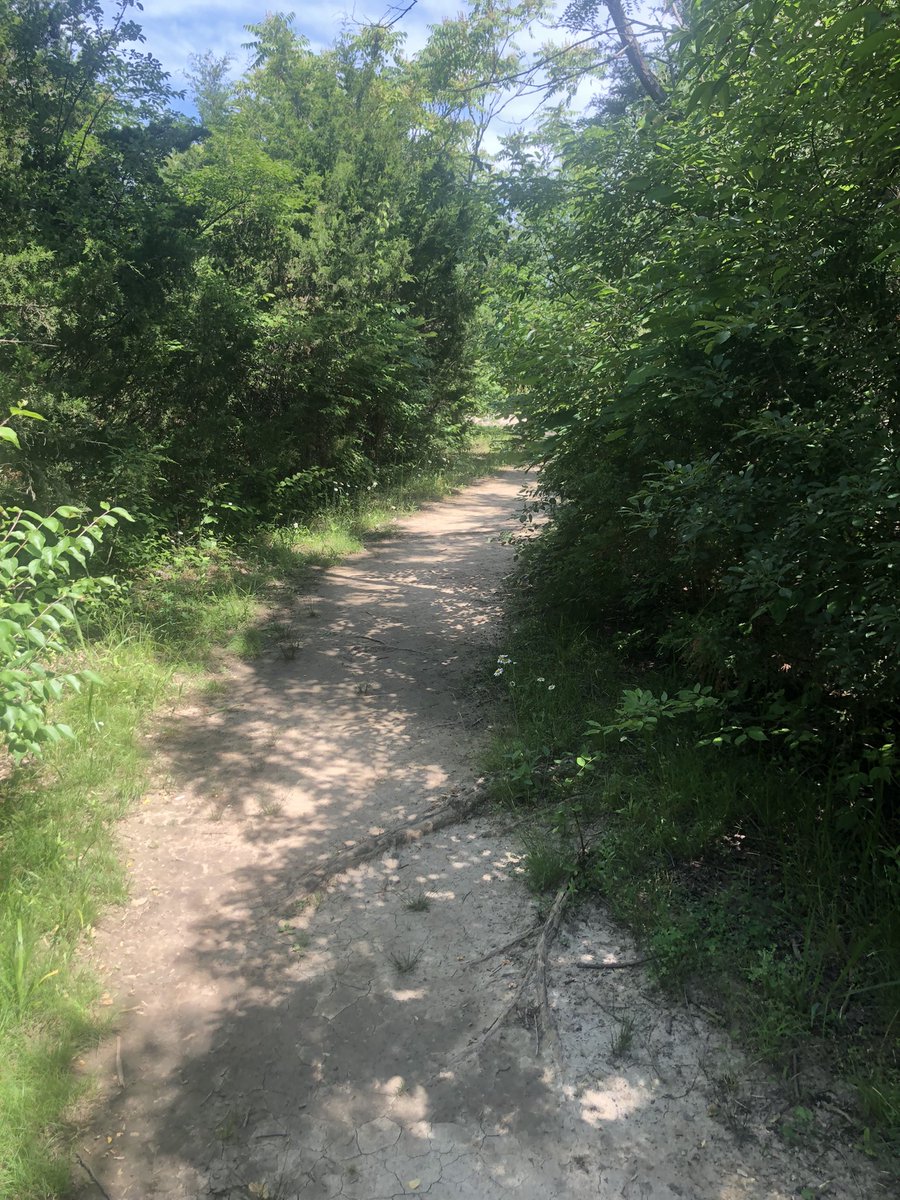 connorroadtrips's tweet photo. Oakes Quarry Park in Fairborn, Ohio. This hiking place has an easy rock climb, and the view looks like a bit of the Southwest in the United States. #usa #ohio #fairbornohio #greenecountyohio #bathtownshipgreenecountyohio #oakesquarrypark #roadtripswithconnor #onlyinohio https://t.co/r5Yd29Ngu7