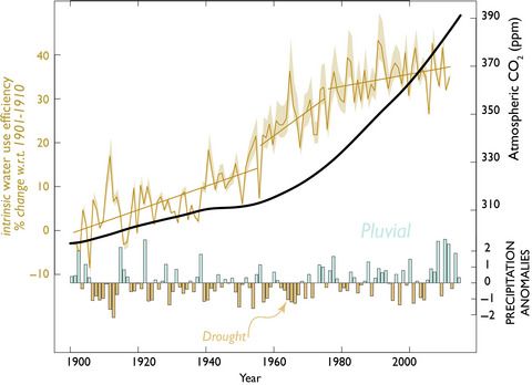 ICYMI ⚡️
Precipitation alters the CO2 effect on water‐use efficiency of temperate forests
@DesertRym <a href="/RossGuerrieri/">Rossella Guerrieri</a> @StocktonMaxwell <a href="/DJPMoore/">Dave Moore</a> @KenDavisMeteo <a href="/TreeRingLabUA/">UArizona Tree-Ring Lab</a>

Read the article here: bit.ly/392ga6X