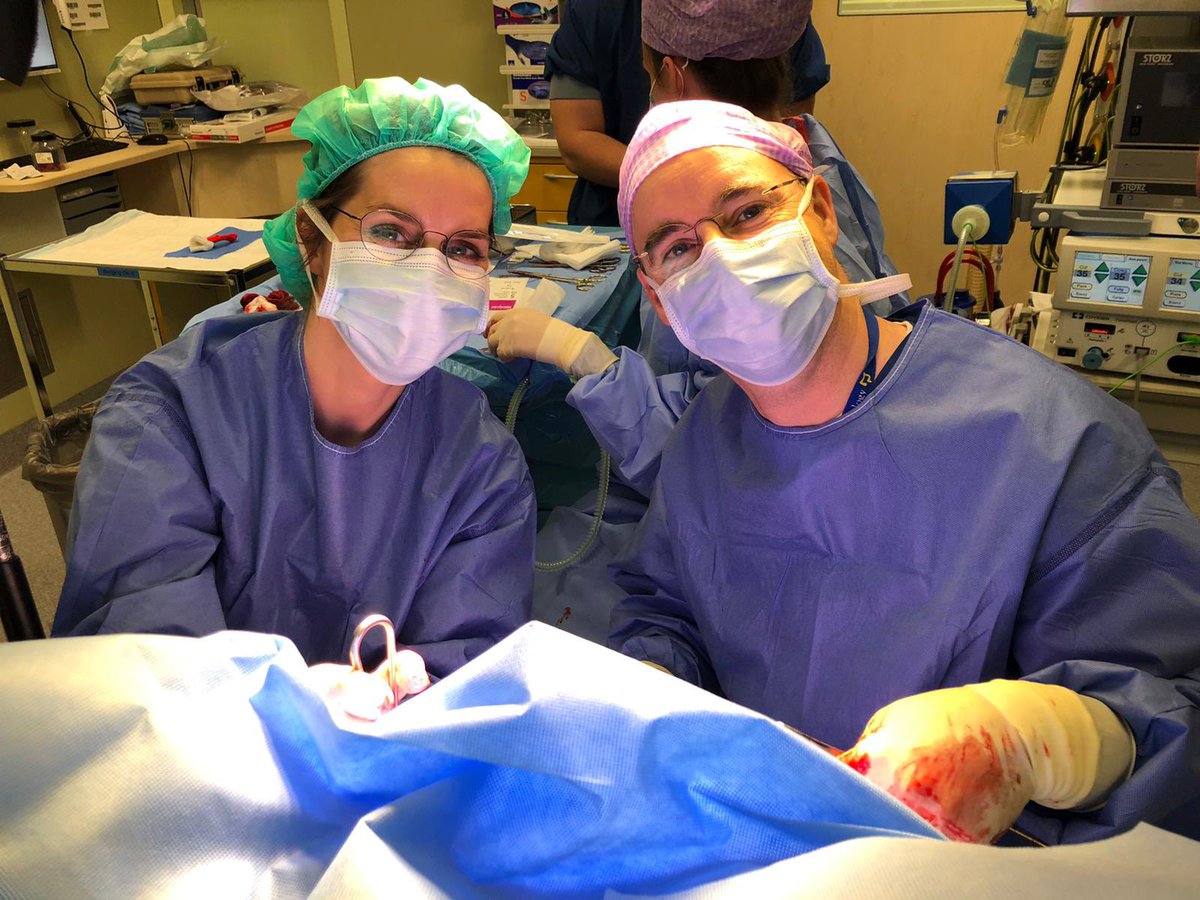 JJEMvanLaarhoven tweet media