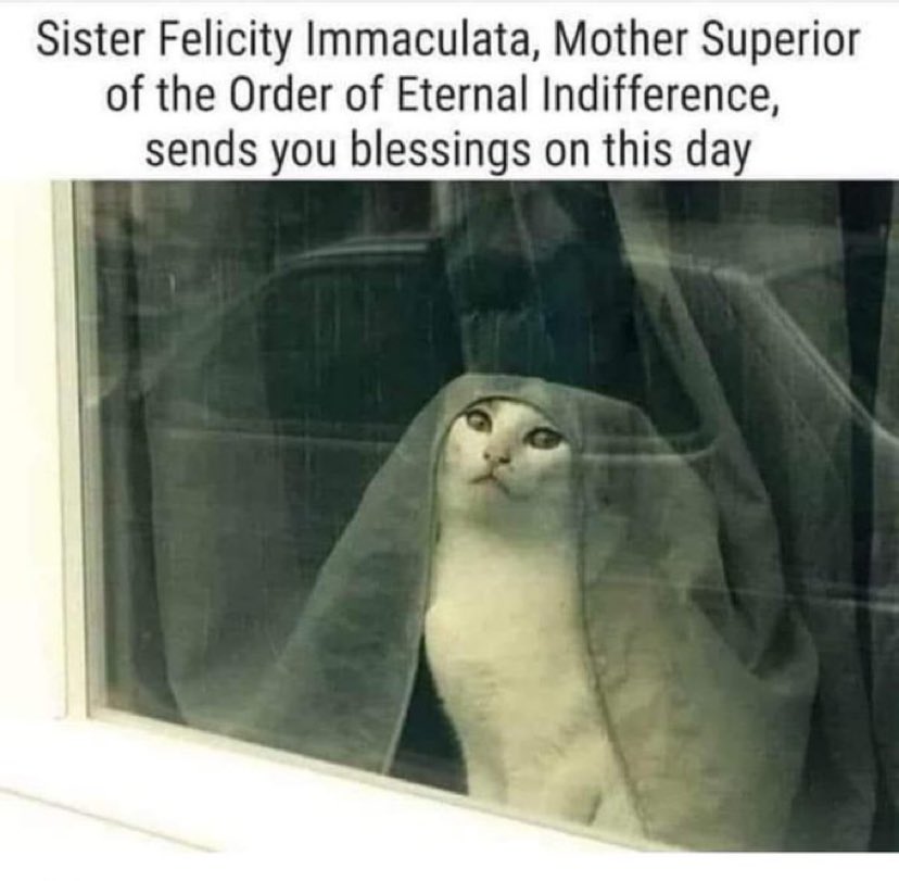 constance kopriva tweet media