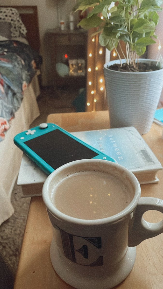 sciencesparkle's tweet photo. When I’m not sleeping or snacking in the kitchen, 95% of my time this week has been in the recliner with a book, Switch, and beverage. 🥰 https://t.co/TpyASgR0T4