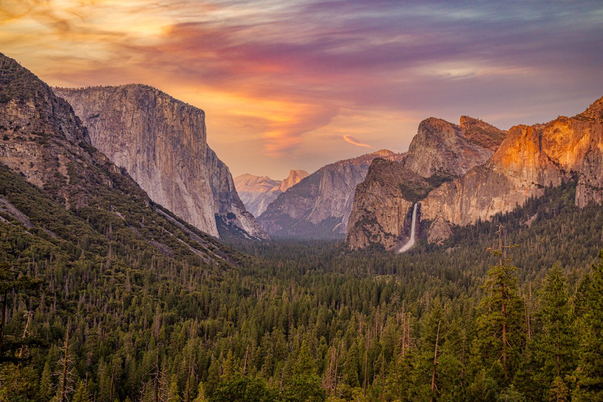 brianhavrilla's tweet photo. Some of my favorite shots not of Cleveland in 2021.

I'll send an 8x10 of each one to a random person that RTs this.

Yosemite National Park, CA
Great Smokey Mountain National Park, TN
Roadway to Baker Beach in San Francisco, CA
Acadia National Park, ME https://t.co/PGd9DJdqud
