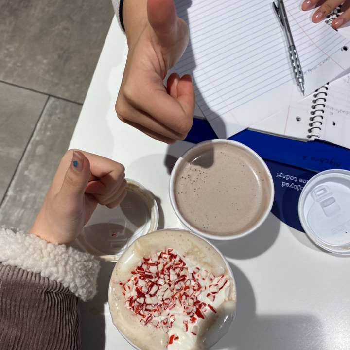 THHSLibrary's tweet photo. Students seems to be enjoying their @GooseChaseEDU I know I am loving their submissions.  #WinterBreakFun https://t.co/LXC93NHAsO