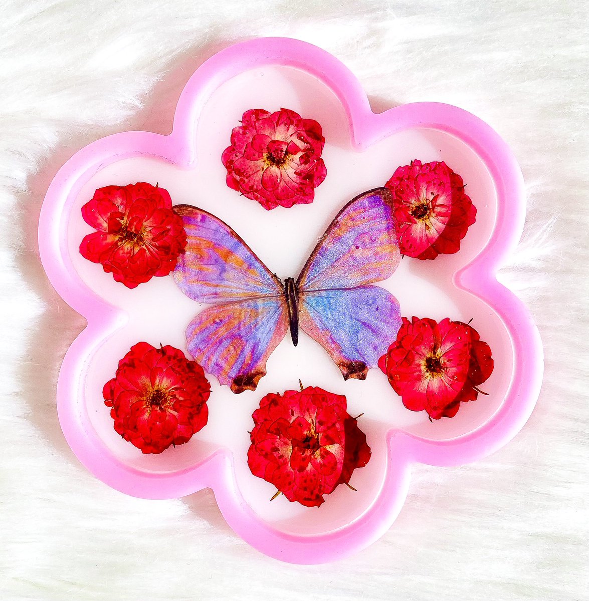 Heatherskiesss's tweet image. Right or Left? 🦋💓💓