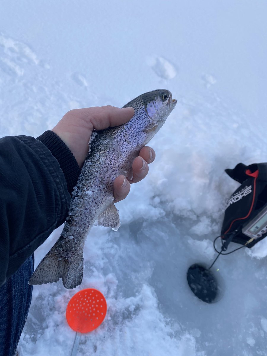 MtnWestIceFish's tweet photo. Another Great Day on the Souther Utah Ice. 

#underarmour #yeti #sportsmanswarehouse #mtndew #icefishing #ionaugers 
#uglystik #jawjacker #procurebaitscents #maniaclures #marcum #bft #clam #mtnops #customjigsandspins #ratfinkee #coldnationoutdoors #icefishingnation 
#801 https://t.co/sbJxMX3eTF