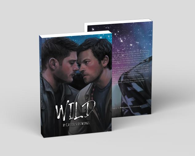 caslostwings's tweet photo. I want to do something special for the print release of "Wild" + "Deserted", so let's do a giveaway!
Two charity raffles will be run with one winner each!
Prize 1: a signed copy of Fire &amp; Ice
Prize 2: a signed copy of BOTH Wild &amp; Deserted
⬇️⬇️Entry details threaded ⬇️⬇️ https://t.co/kJbOley770