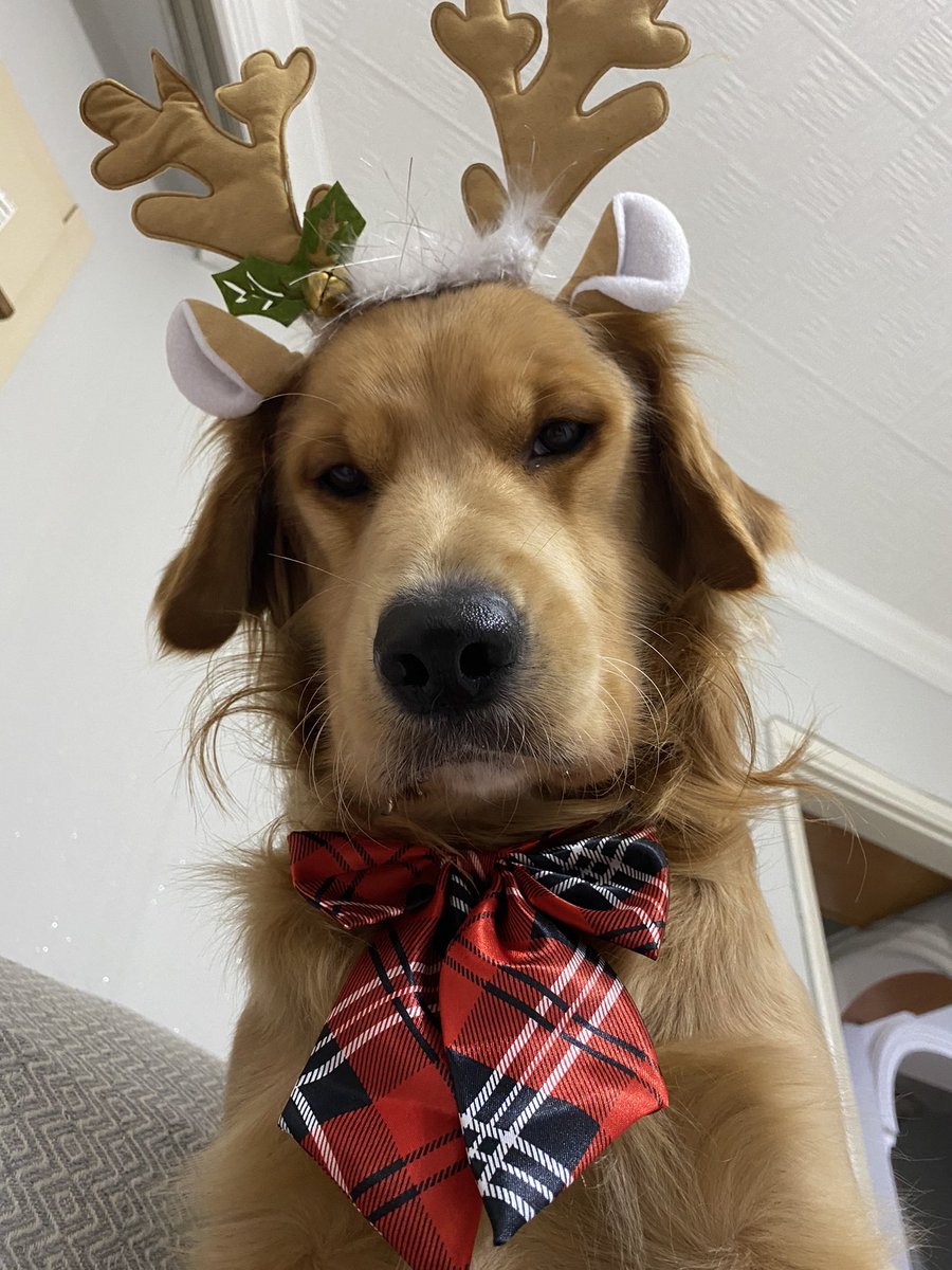 Aynen canım happy new year