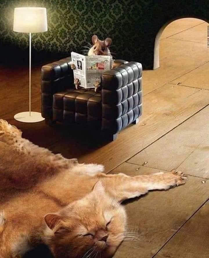 AuthorsMon's tweet photo. https://t.co/t7kxKbV31z