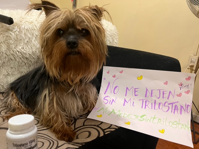 dannyta_tru's tweet photo. #NoMeDejesSinTrilostano
Firma, miles de perritos moriran si su dosis de #trilostano Mi Tomy tiene 14 años y padece de S. de Cushing sin el trilostano, no estaria como lo ven! un perrito feliz
https://t.co/KH6UGVp5Bu https://t.co/rz9ITIuxAR