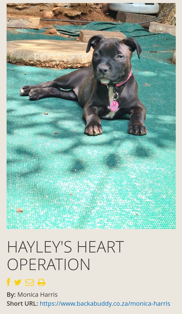 lindez89's tweet photo. Could you please share this 🙏🏼 Hayley needs our help. Every cent and prayer can help

Link below:
https://t.co/3f8NrnvvLC https://t.co/PNA51DcpF8