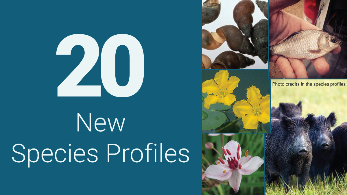 Invasive Species Ctr tweet media