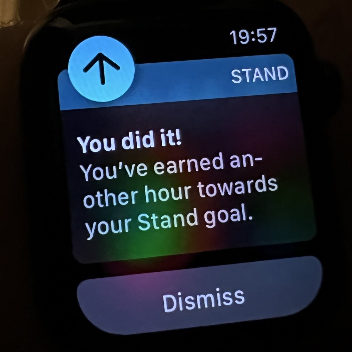 When your watch starts congratulating you for standing up, you know it’s been a quiet Christmas.