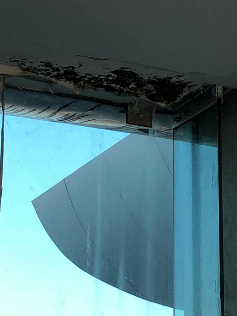 Angieyoll's tweet photo. @Tu_IMSS Mejor mantengan sus espacios limpios. Hosp General Regional No.2 Dr. Guillermo Fajardo Ortiz en Calz. De las Bombas... piso 1 y 4norte https://t.co/xyQCvUgNHh https://t.co/UZ8xzzc46J