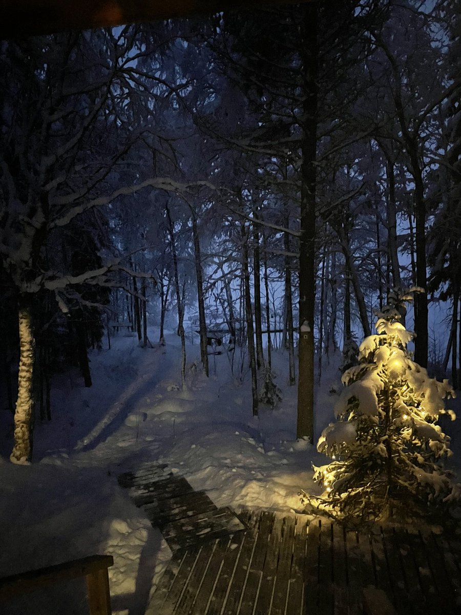 Finland ❄️ buzzzzzzz