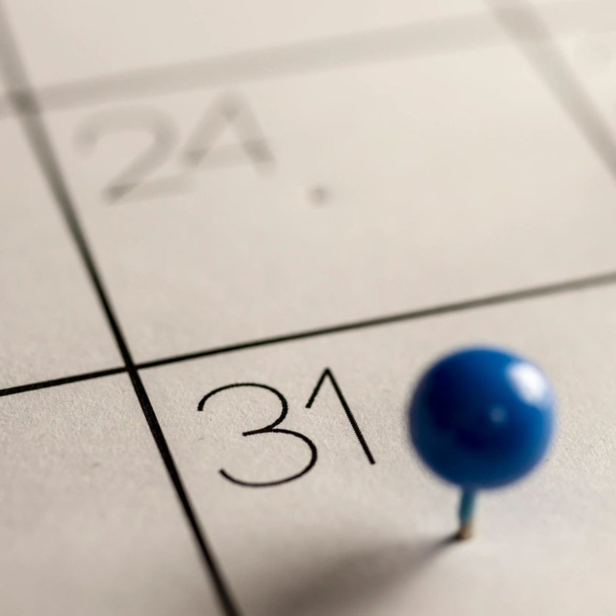 SquarrelCafe's tweet photo. Our commitment to serving you as best we can is a 365-day undertaking. https://t.co/2m5yqIlj4G