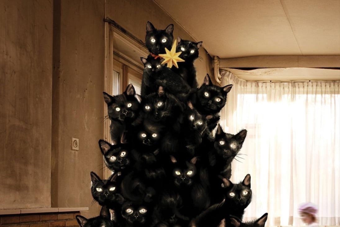 елка из кошек фото. елка для котов. черный кот и новогодняя елка.