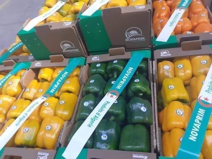 celini_y's tweet photo. اللهم زد و بارك ...🇩🇿💚🌶️💥 https://t.co/Wq7eP8TO6a