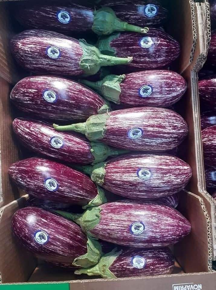 celini_y's tweet photo. اللهم زد و بارك ...🇩🇿💚🌶️💥 https://t.co/Wq7eP8TO6a