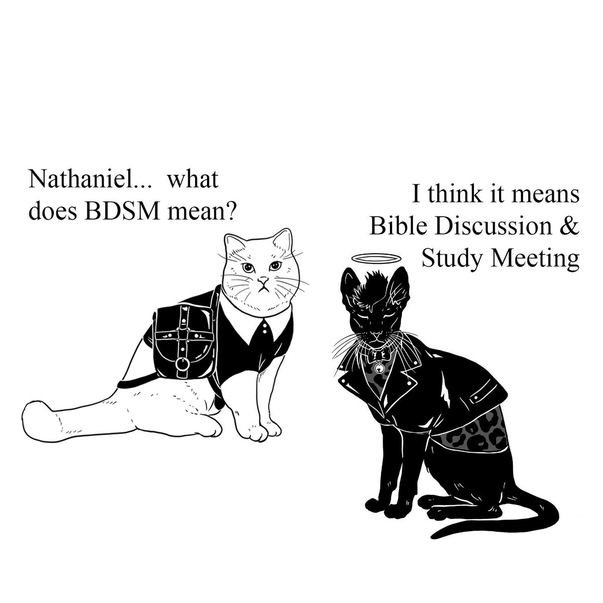 xagan_k's tweet photo. What does BDSM mean?😏😏😏
#MemeSGB @sad_girls_bar 
#nft #NFTCommunity #nftart #nftcollector https://t.co/rIdWnE36HK