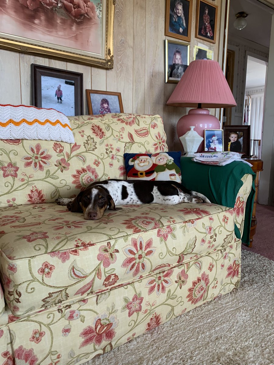 emprosser21's tweet photo. Granny Margaret’s house is our cozy place! https://t.co/ezOKfgkzCm