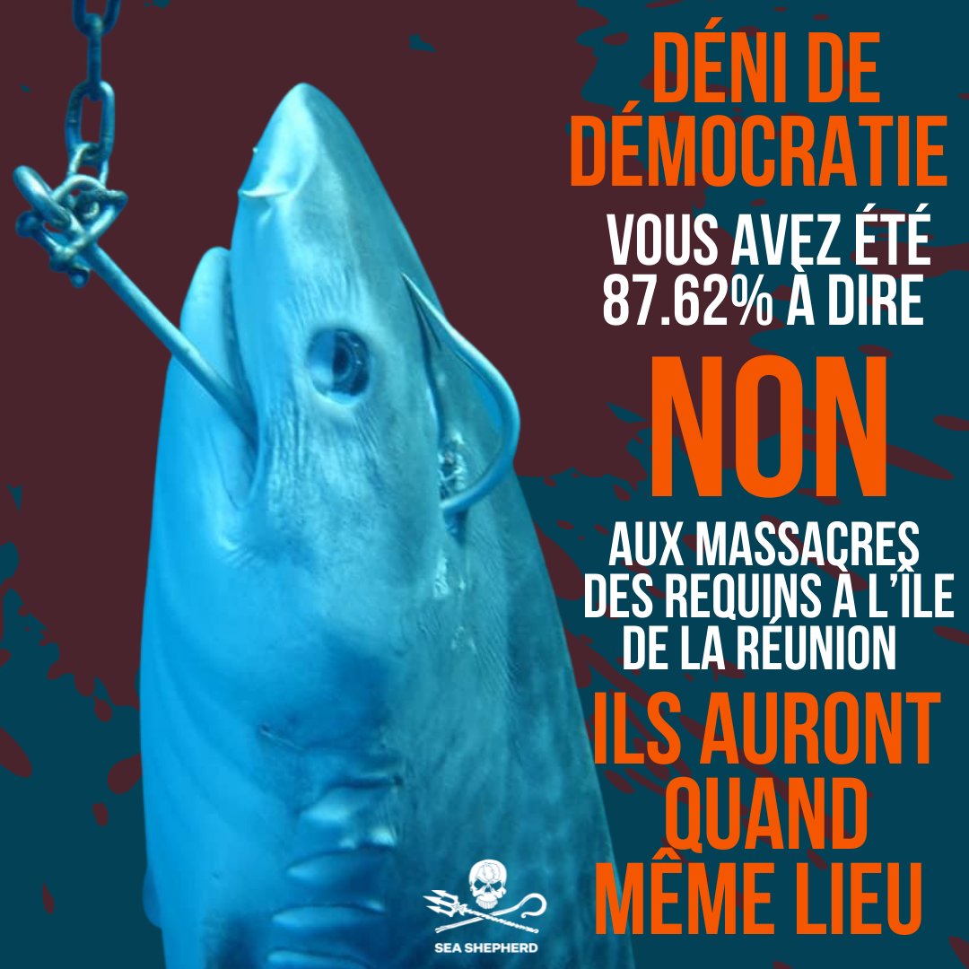 Sea Shepherd France tweet media
