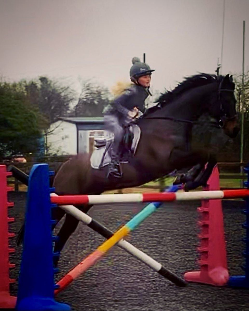 robsmith66's tweet photo. In awe of our Tia and her horse Penny jumping at 1.27m today - getting higher &amp; higher #lovejumping #goingplaces https://t.co/UtGZWlFPUi