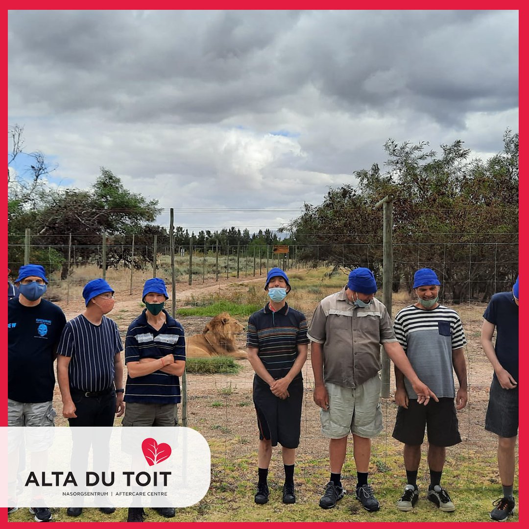 // Leeu uitstappie // 🦁

'n Paar oomblike van vandag se leeu park uitstappie! Dit was omtrent lekker! 

#altadutoit #altadutoitsentrum #altakliente #outing #leeu #activities #altadutoitboston #altadutoitbellville #altasorg #family #familytime #holiday #drakensteinlionpark