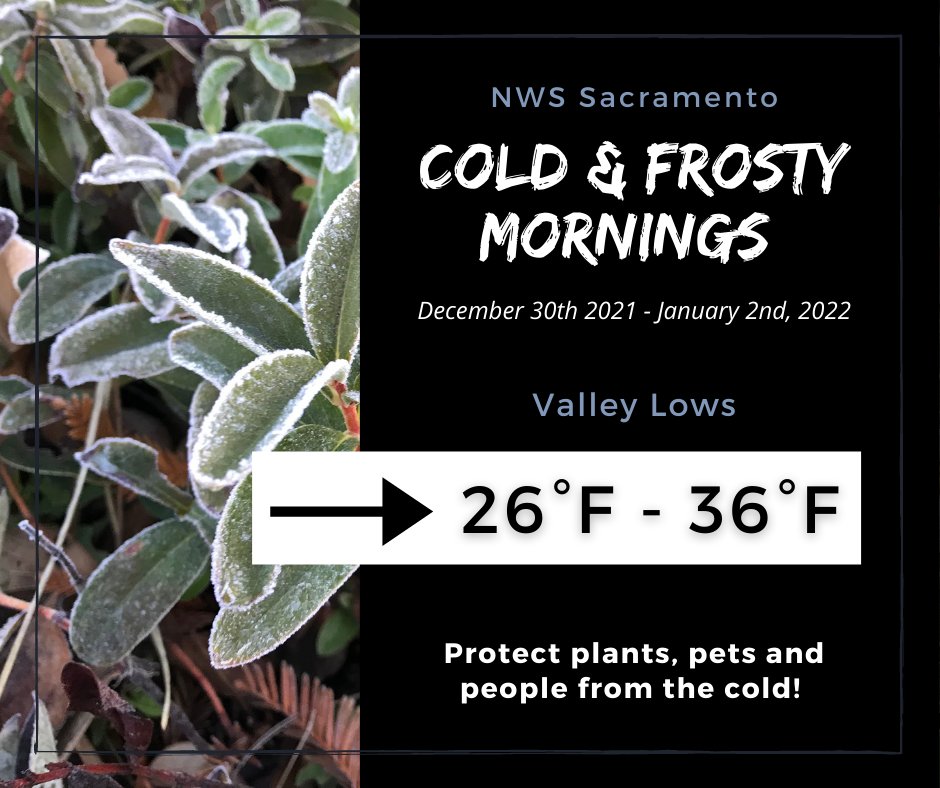 NWSSacramento's tweet photo. ‼️ Near to below freezing temperatures are expected tonight and the next few nights. Dress in layers &amp; bring pets &amp; cold sensitive plants indoors. #CAwx #CAwinter https://t.co/DceskOBHFk